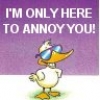 ca21455's Avatar