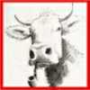 Mister Moo's Avatar